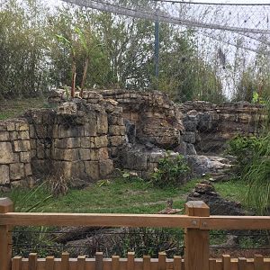 Range of the Jaguar- Jaguar