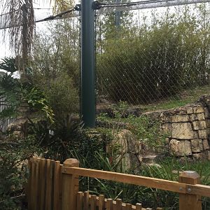 Range of the Jaguar- Jaguar