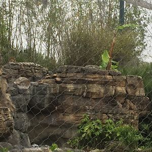 Range of the Jaguar- Jaguar (See the cat?)