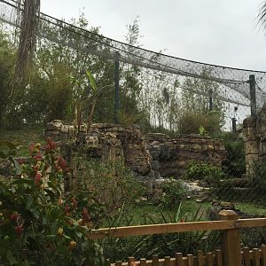 Range of the Jaguar- Jaguar