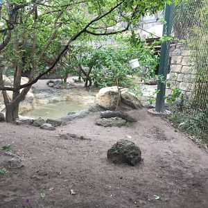 Range of the Jaguar- Giant Anteater/Howler Monkey