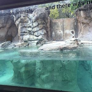 Range of the Jaguar- Emerald Forest- Giant Otter