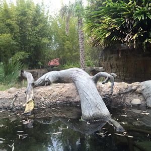 Land of the Tiger- Babirusa/Asian Small-Clawed Otter