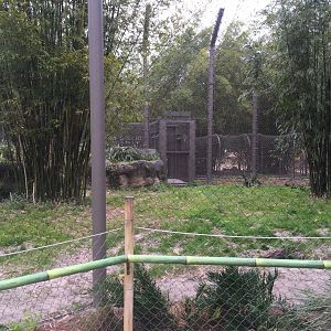 Land of the Tiger- Sumatran Tiger