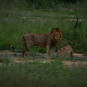 Kruger National Park