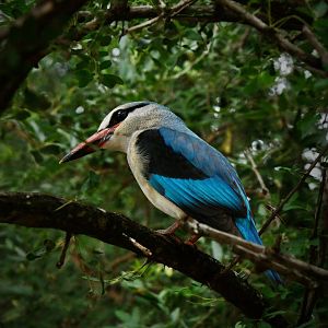 Kruger National Park