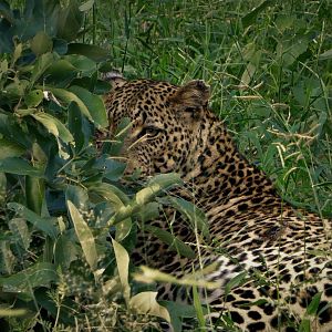 Kruger National Park