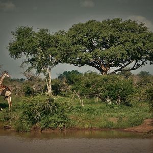 Kruger National Park