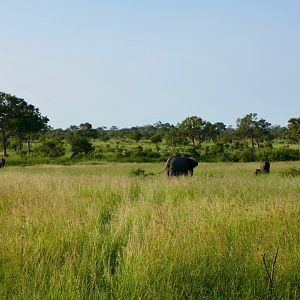 Kruger National Park