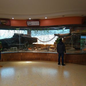 Water Monitor Exhibit