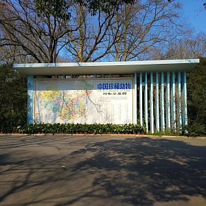 Rare Animals of China