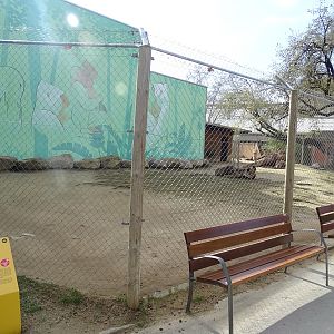 Red kangaroo enclosure