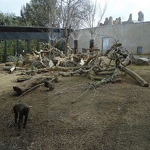 Drill enclosure