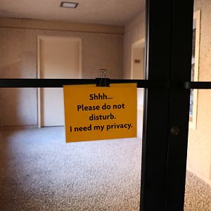 ocelot viewing closure