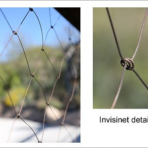 invisinet fencing