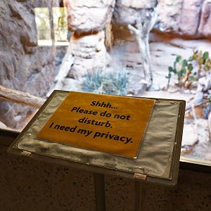 temporary sign at ocelot