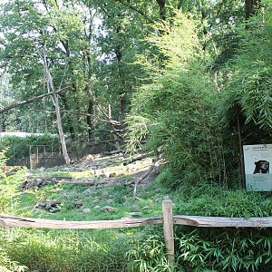 Bear - Binturong Enclosure