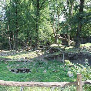 Bear - Binturong Enclosure
