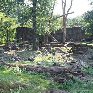 Bear - Binturong Enclosure