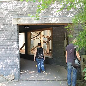 Monitor - Python House