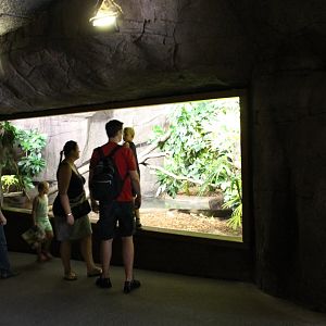 First part Water monitor Enclosure