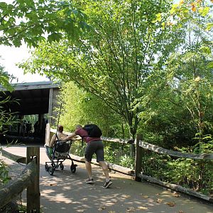 To the Monkey-enclosure