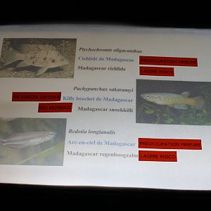 Signs Madagascar Aquarium