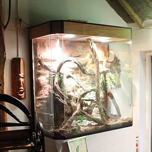 Enclosure Green tree monitor