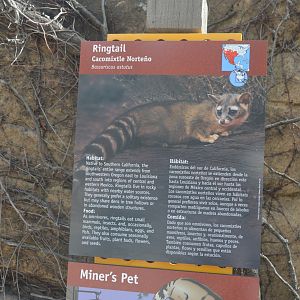 Ringtail Signage