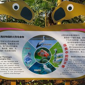 Flamingo Interpretation Sign