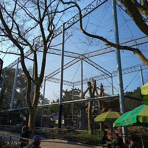 Large Bird of Prey Aviary