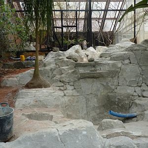 Between Desert and Tropics, March 2017