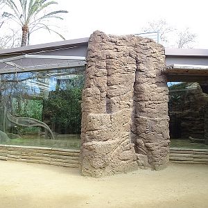 Komodo Dragon enclosure