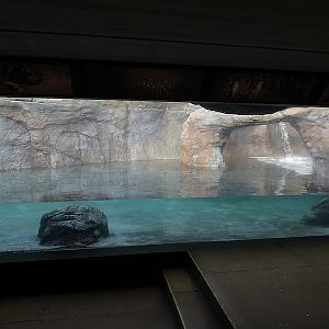 Empty penguin enclosure