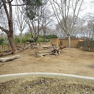 Warthog enclosure