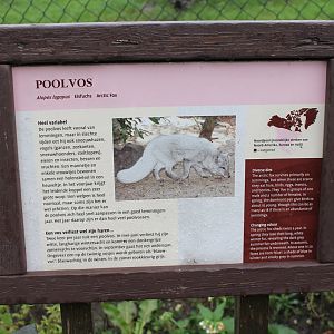 Sign Polar fox