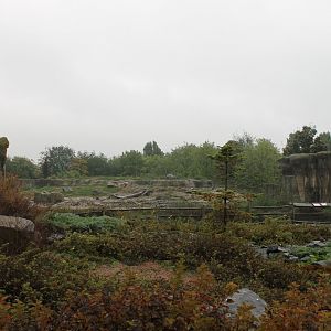 View toward Polar bear-enclosure