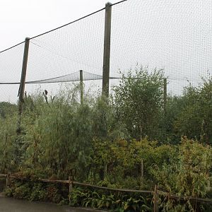 Vulture - Hornbill Aviary