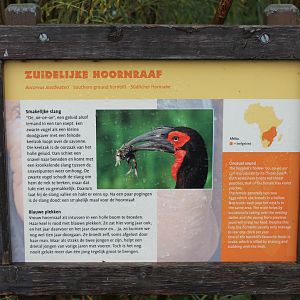 Sign Ground hornbill