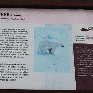 Sign Polar bear