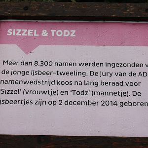 Info naming-contest Sizzel and Todz