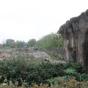 Part Polar bear-enclosure