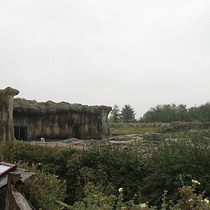 Polar bear enclosure