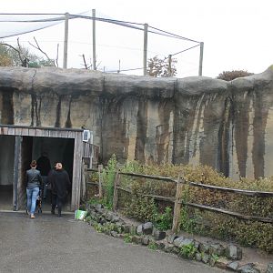 Indoor Polar bear viewing