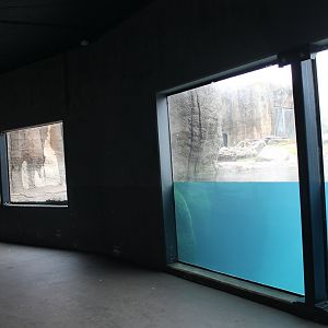 Viewinginto Polar bear-enclosure