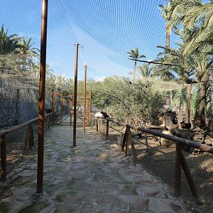Walk-Through Chicken Enclosure