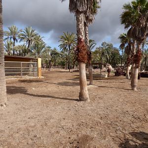 View of Safari Area 2