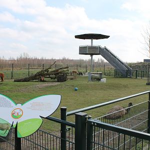 Mixed enclorure with viewing-tower