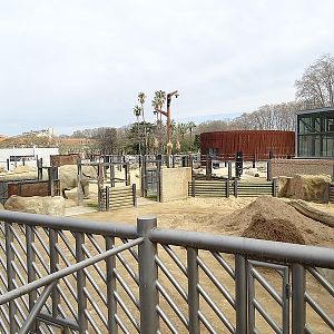 Part of African elephant enclosure