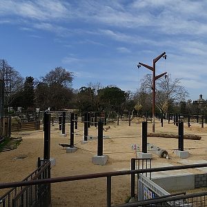 African elephant enclosure